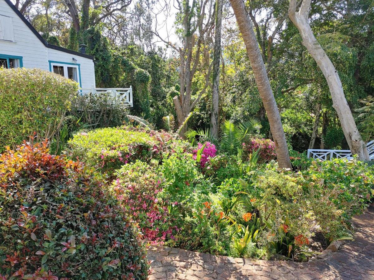 Yellowwood Lodge (Adults Only) Knysna Exterior foto